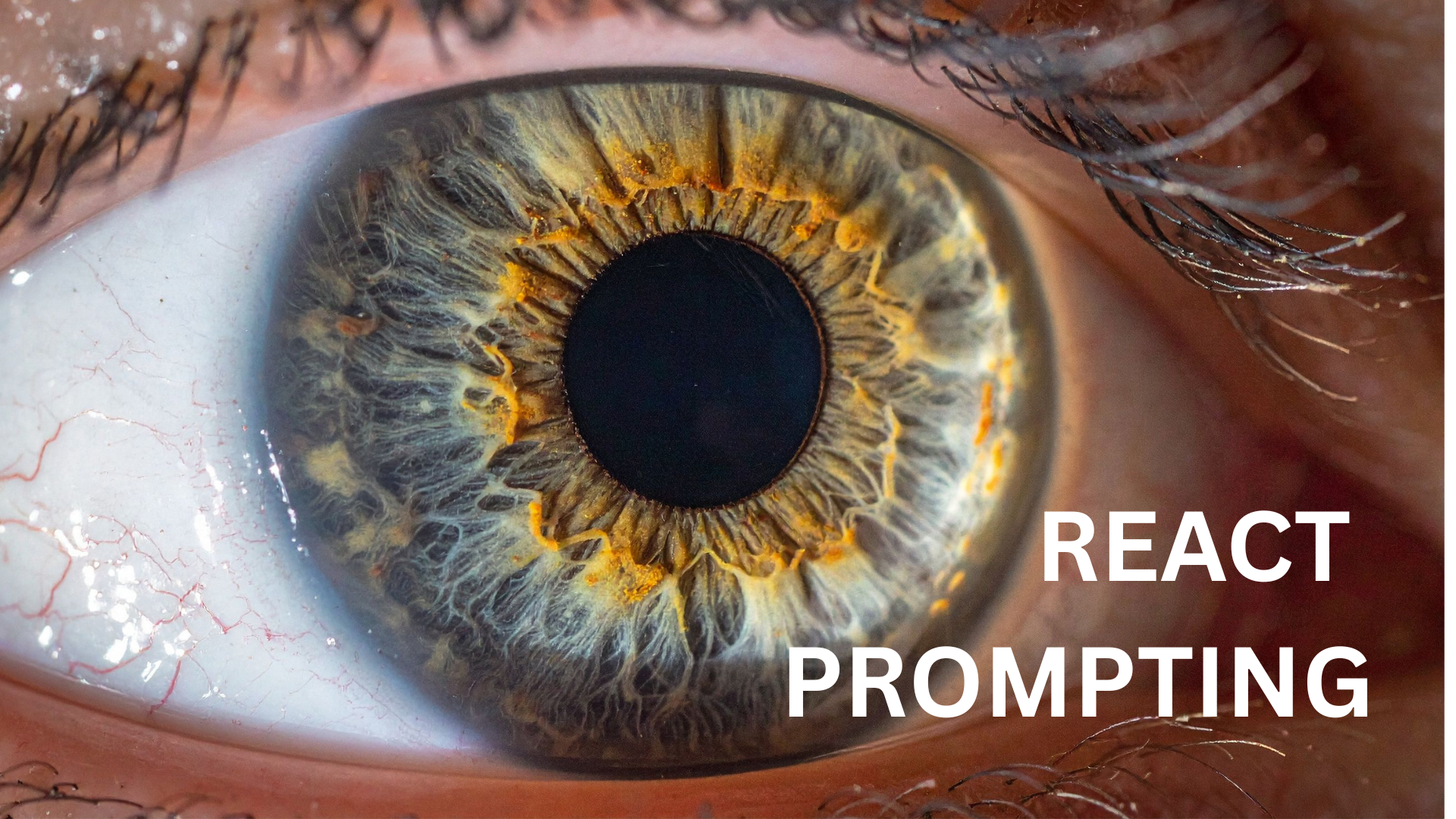 What the Heck is ReAct Prompting?